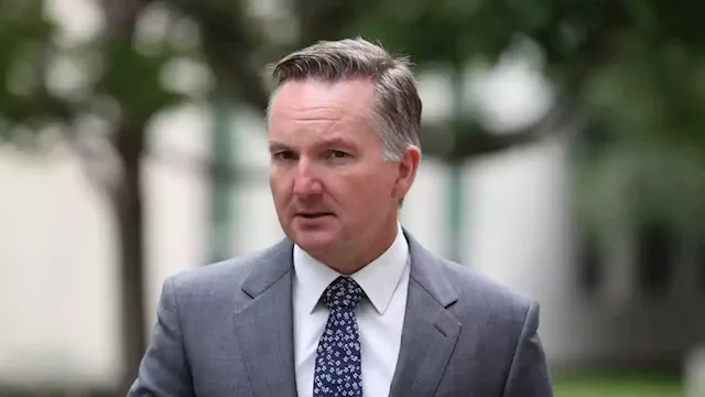 Energy companies ‘tested’ Chris Bowen and ‘played him like a fool’