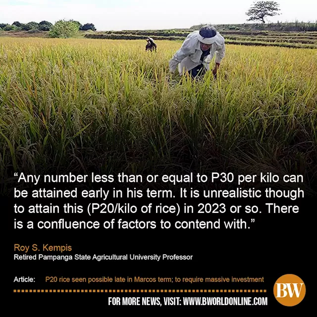 P20 rice seen possible late in Marcos term; to require massive investment - BusinessWorld Online