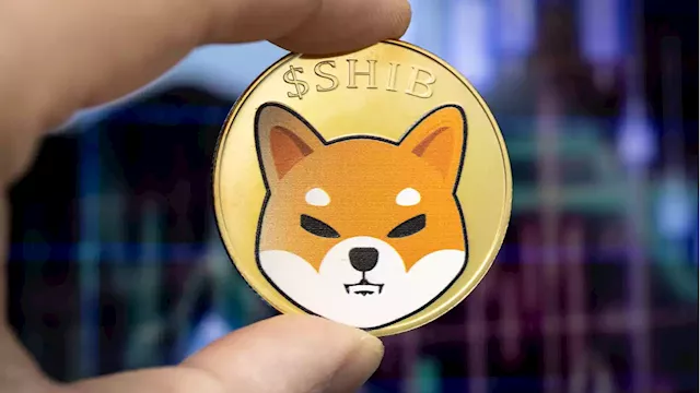 Biggest Movers: SHIB Surges 10% on Saturday, as NEAR Hits 2-Week High – Market Updates Bitcoin News