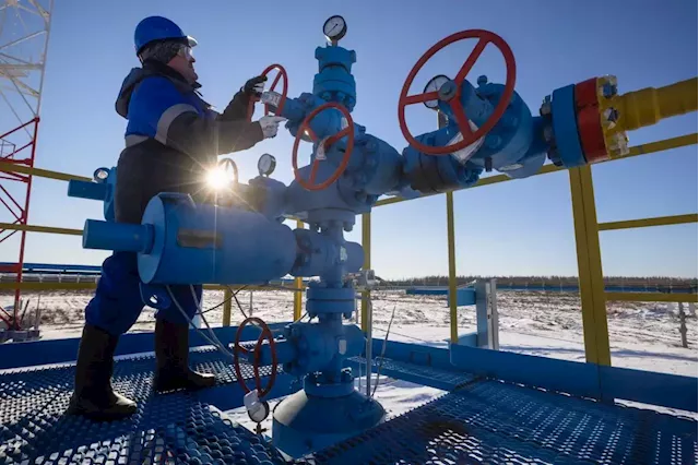 Business Maverick: EU Leaders Brace for Hard Winter as Russia Tightens Gas Grip