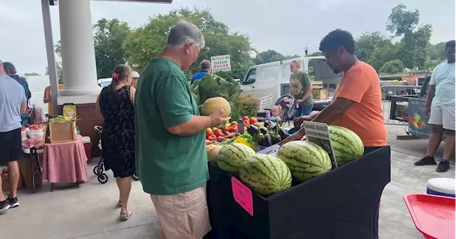 Enterprise Farmers Market holds Watermelon Day