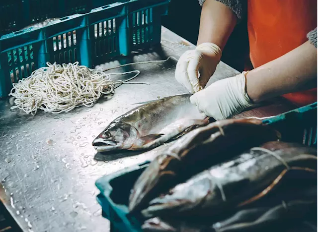 5 Truths About the Seafood Industry That Will Make You Lose Your Appetite — Eat This Not That