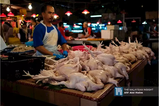 Ministry holds talks with industry players on new chicken price cap | The Malaysian Insight