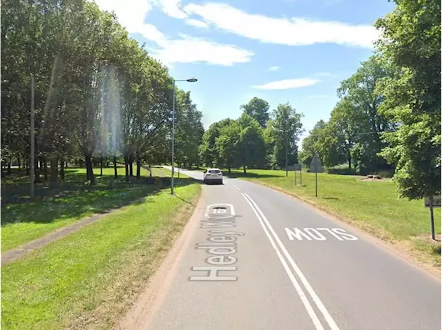 One taken to hospital after car hits tree near Market Drayton