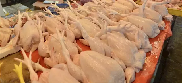 Govt in discussion with poultry industry players to set new chicken ceiling price