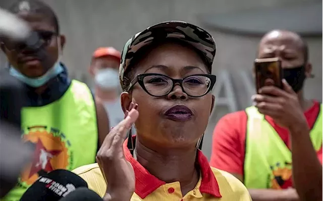 Numsa suspends strike at mining companies pending wage negotiations