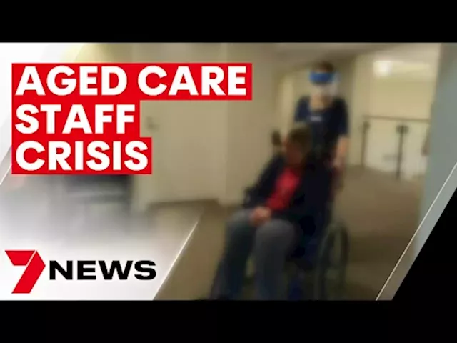 New report shows aged care industry urgently needs more than 30,000 extra workers | 7NEWS