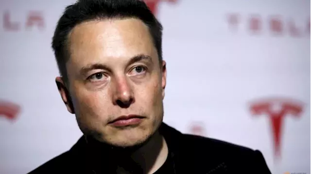 Analysis - Musk's warning could be auto industry's 'canary in the coal mine' moment