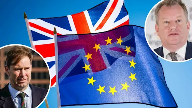 Tories blast Conservative as he says 'rejoin European single market over cost of living'