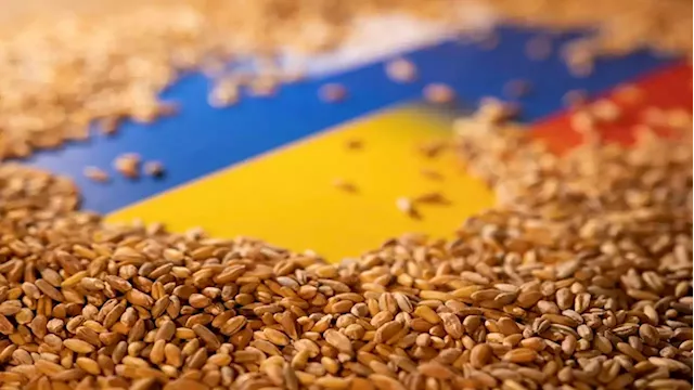 UN aid chief in Moscow to discuss Ukraine grain exports - SABC News - Breaking news, special reports, world, business, sport coverage of all South African current events. Africa's news leader.