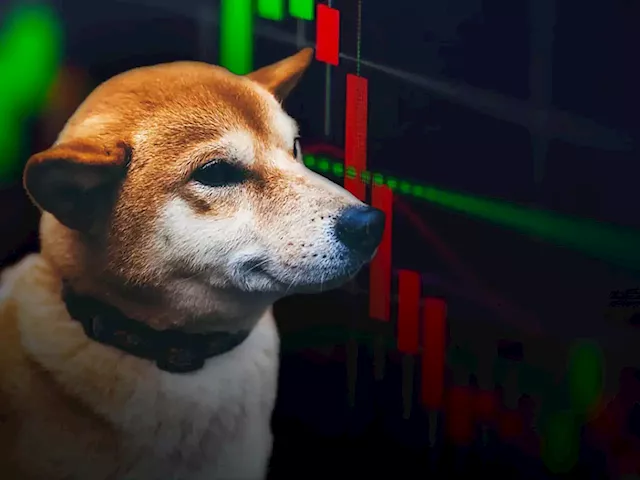 SHIB Market Cap Drops 3 Times More Than Its Price, But Why Is It Good Thing?