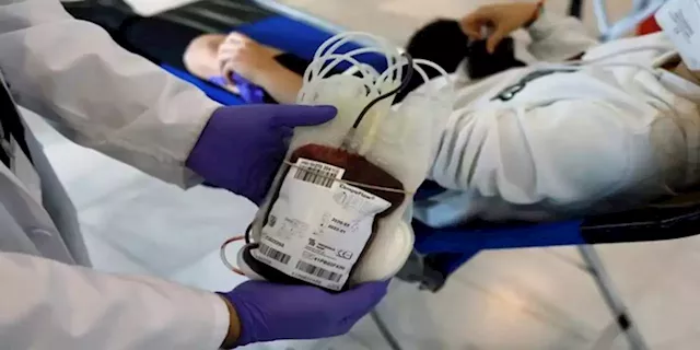 SA National Blood Service pleads with citizens to donate blood - SABC News - Breaking news, special reports, world, business, sport coverage of all South African current events. Africa's news leader.