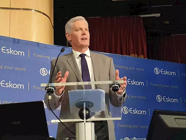 'De Ruyter must fall!' - Business leaders, politicians want Eskom CEO fired