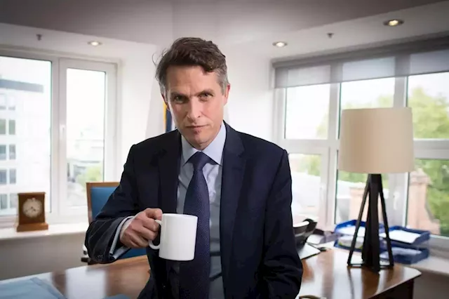 Gavin Williamson takes £50,000-a-year job advising private education company