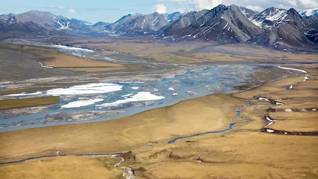 Only oil company that bid for ANWR tract gives up its lease