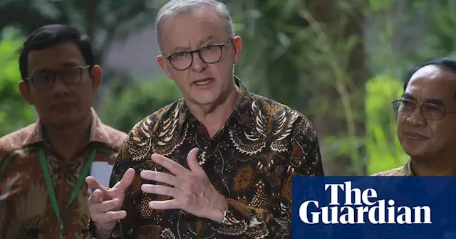 ‘We can do much more’: Albanese calls on business to look past China to opportunities in Indonesia