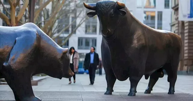 Investors worry about bear market rally