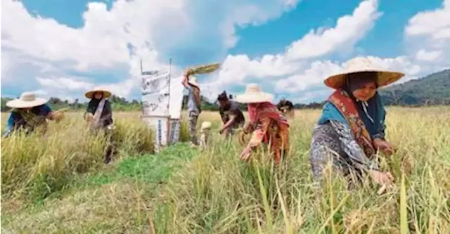 Teach schoolchildren importance of farming, industry player