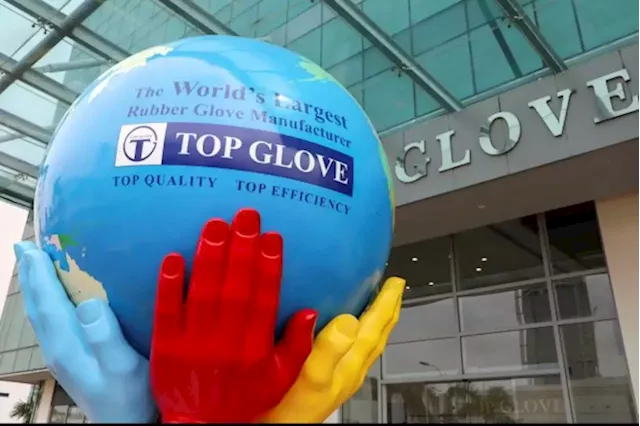 All eyes on glove stock earnings