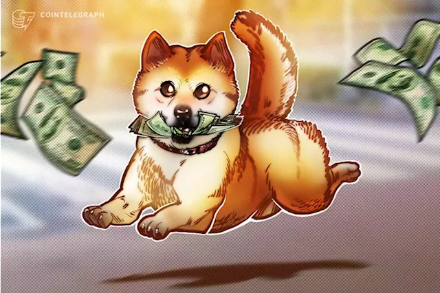 DOGE's highs and lows: Is Dogecoin a good investment?