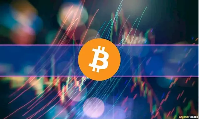 Market Watch: Cardano Gains Another 3% While Bitcoin Still Flirts With $30K