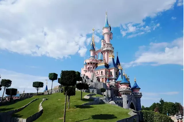 The Walt Disney Company apologises after Disneyland Paris employee ruins marriage proposal (VIDEO)