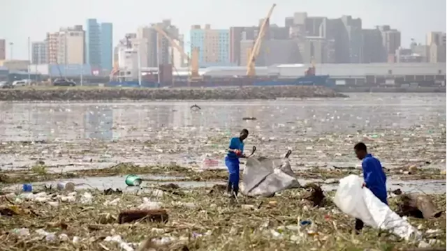 More volunteers needed to help clean up the beach in Durban: Green Corridor - SABC News - Breaking news, special reports, world, business, sport coverage of all South African current events. Africa's news leader.