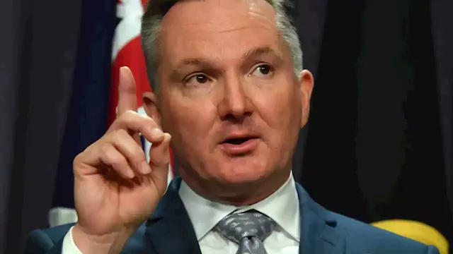 Chris Bowen takes aim at gas companies as Allegra Spender blasts 'crisis in fossil fuel prices'