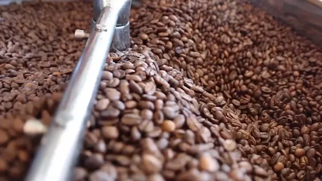 Sustainable bean-less coffee company receives $40M in funding