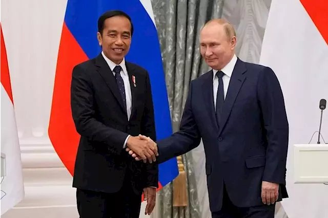 Putin offers Russian railways investment in new Indonesia capital