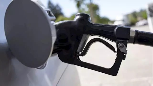 Small business group calls for relief at pumps amid high fuel costs - BNN Bloomberg