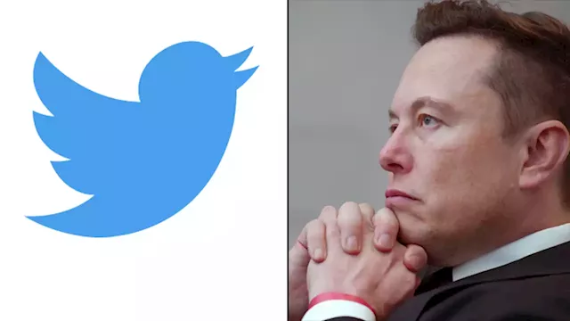 Twitter Stock Drops As Company Hires Law Firm To Sue Elon Musk Amid Mocking Tweets From Tesla Founder