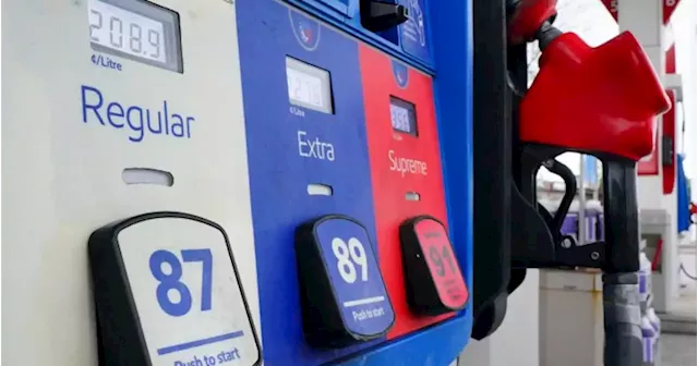 Tax relief needed at the pumps amid high gas prices, small business group urges - National | Globalnews.ca