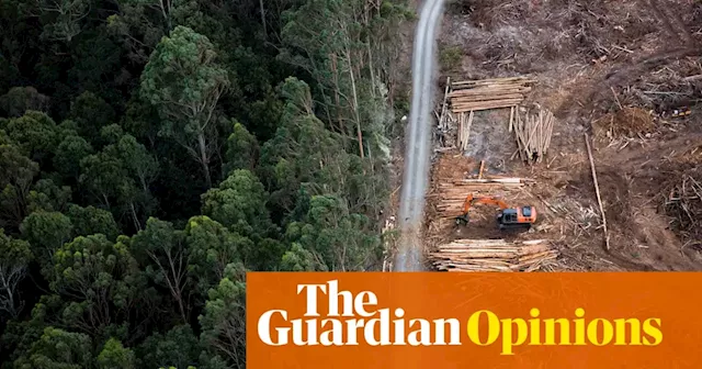 Australia’s farcical climate policy: market forces to cut emissions and subsidies to destroy carbon sinks | Richard Denniss