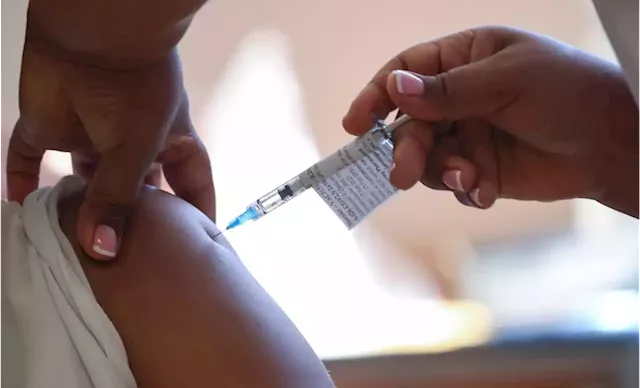 COVID-19 vaccines and pregnancy: A review of the evidence shows they are safe - SABC News - Breaking news, special reports, world, business, sport coverage of all South African current events. Africa's news leader.