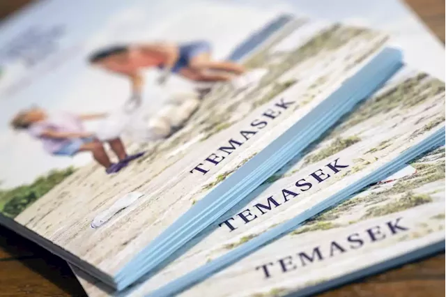 Temasek turns cautious on outlook, sees more market declines