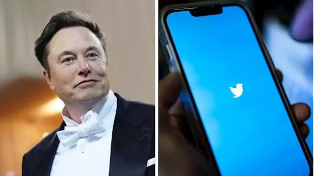 Twitter sues Elon Musk for pulling out of deal and accuses him of 'trashing' the company