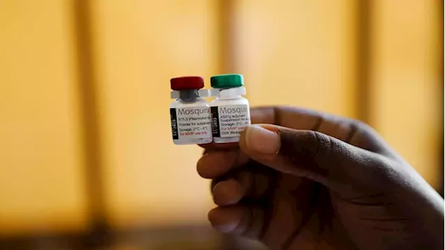 Why world's first malaria shot won't reach millions of children who need it - SABC News - Breaking news, special reports, world, business, sport coverage of all South African current events. Africa's news leader.