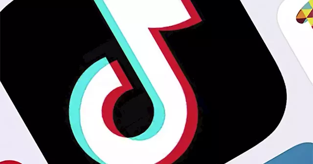 TikTok defends ownership, claims Chinese company just has 1% stake