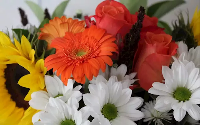 Pretoria florist’s business blossoms into something beautiful