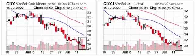 Rally Time in the Gold Stocks