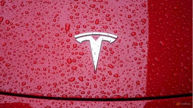 Tesla braces for earnings hit, but EV delivery outlook is key