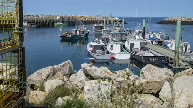 Fisheries report brings hope to Indigenous communities, sparks anger in industry