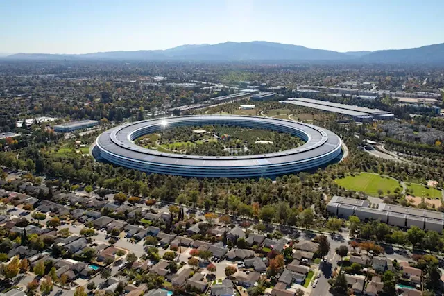 Business Maverick: Apple joins fellow tech giants in putting a lid on hiring