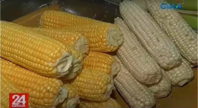 Industry stakeholders urge gov’t to import more corn to lower pork, chicken prices