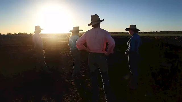 Foot and mouth disease a ‘time bomb’ for Australian agriculture industry