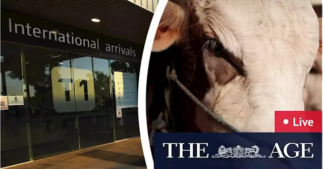 Australia news LIVE: Livestock industry under threat as foot and mouth disease detected in imported meat; COVID cases continue to grow across the nation