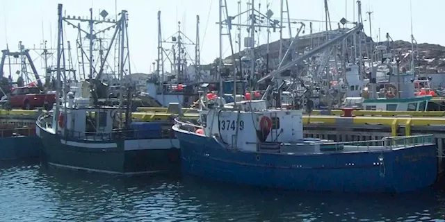 Province to Review Pricing Process Amid Chaos in NL Fishing Industry