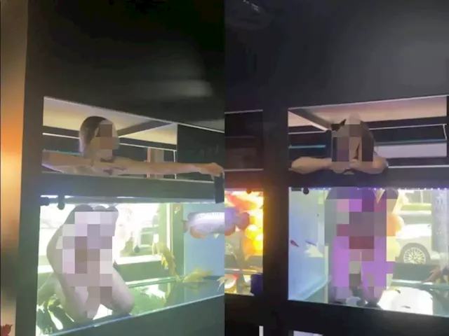 Arowana fish shop in Bangkok's Chatuchak Market puts women in bikinis into fish tanks for store opening (VIDEO)