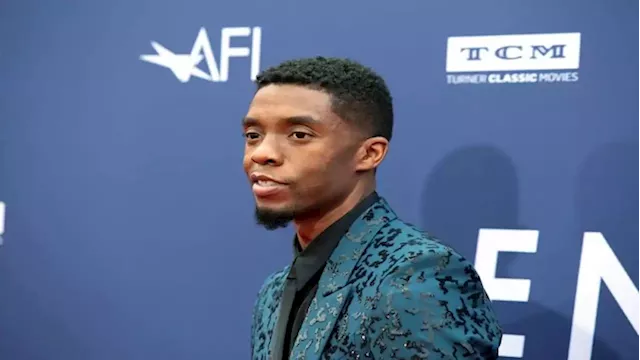 'Black Panther' cast remember Boseman ahead of 'Wakanda Forever' - SABC News - Breaking news, special reports, world, business, sport coverage of all South African current events. Africa's news leader.